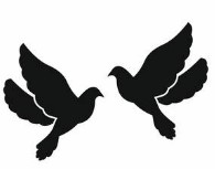 doves-icon