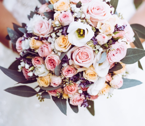 bloom-blooming-blossom-1424810
