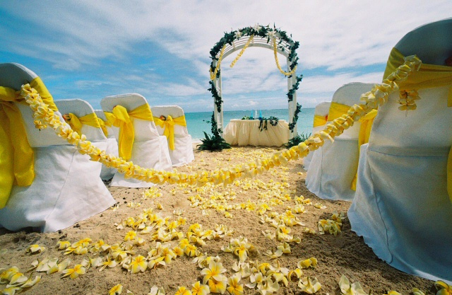 Honolulu Beach Weddings