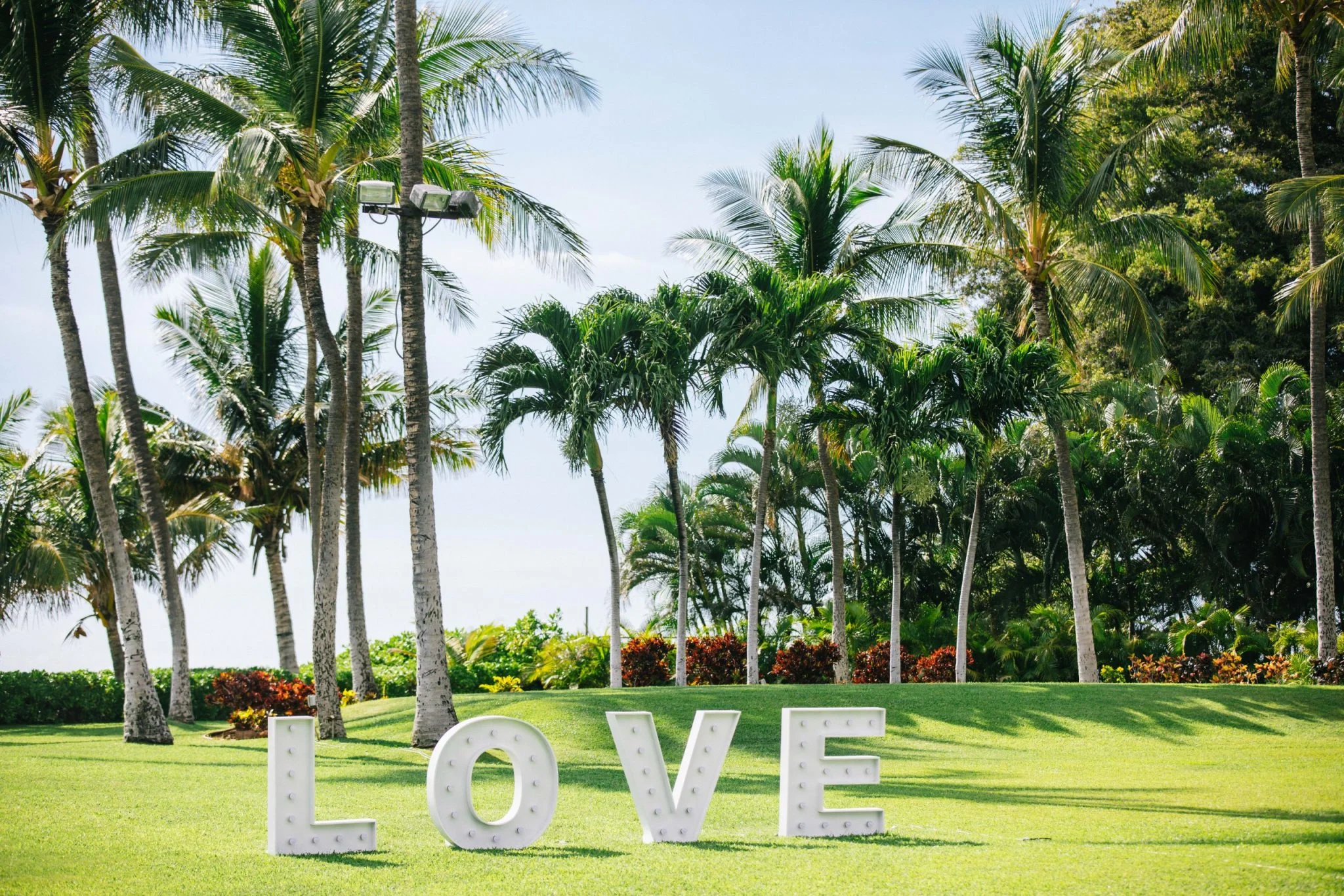LOVE sign on tropical lawn with palm trees