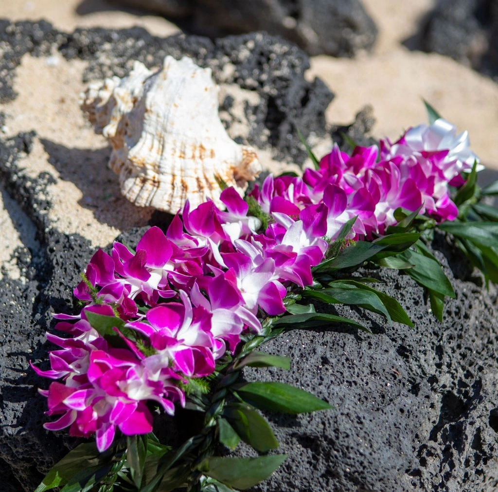 Purple orchid lei on beach rocks
