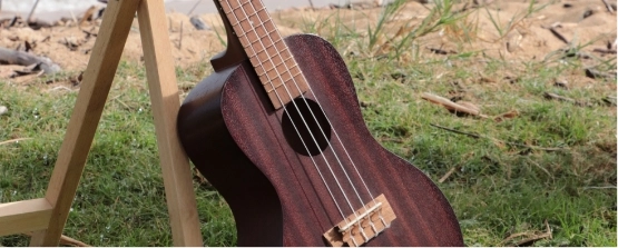 Wooden ukulele on grass outdoors